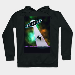 Animal Abduction Hoodie